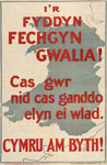 'I'r fyddin fechgyn Gwalia' 'I'r fyddin fechgyn Gwalia'